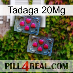 Tadaga 20Mg 14